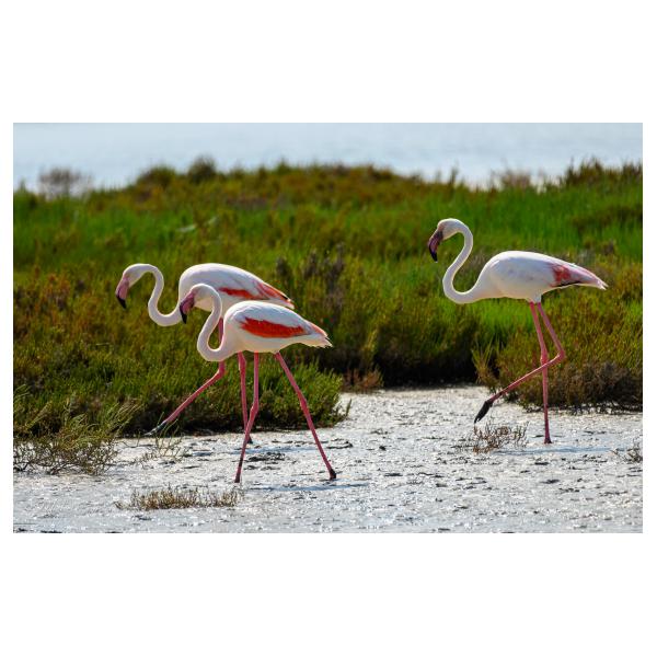 PHOTO84, CLUB, 84 , LUBERON